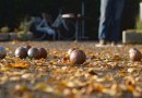21.10.2023 Boule