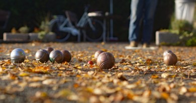 08.11.2025 Boule in der Parkwildnis