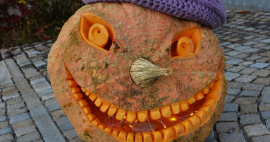26.10.2023: An die Kürbisse, fertig, los …