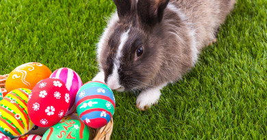 Bürozeiten in den Osterferien