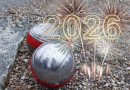 03.01.2026 Neujahrs-Boule in der Parkwildnis